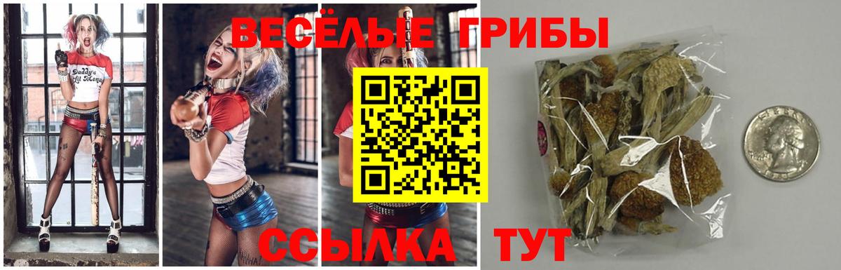 Галлюциногенные грибы мухоморы Хасавюрт